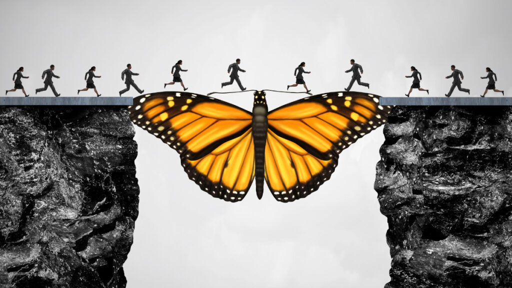 Life Is in the Transitions: Stories of Change